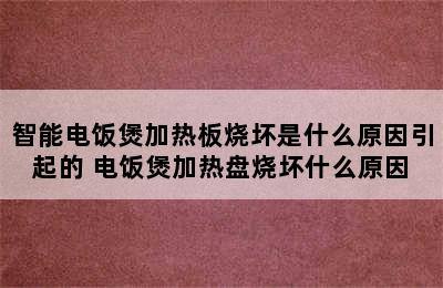 智能电饭煲加热板烧坏是什么原因引起的 电饭煲加热盘烧坏什么原因